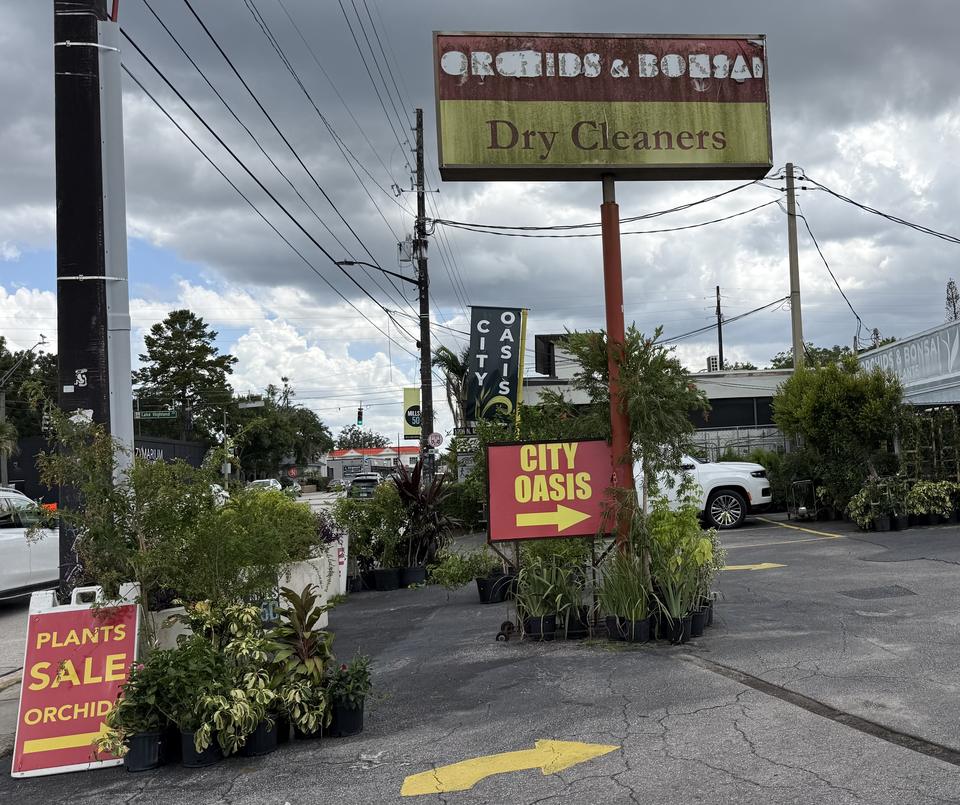 City Oasis Orchids & Bonsai